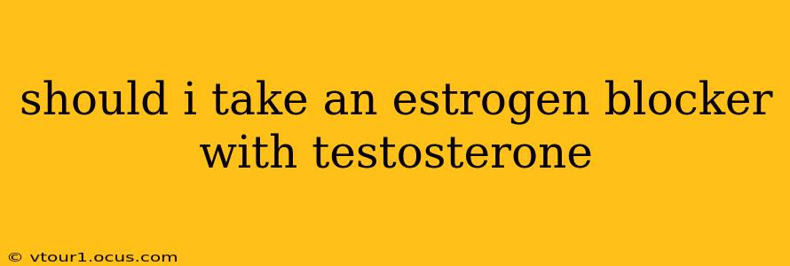 should i take an estrogen blocker with testosterone
