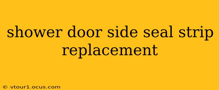 shower door side seal strip replacement