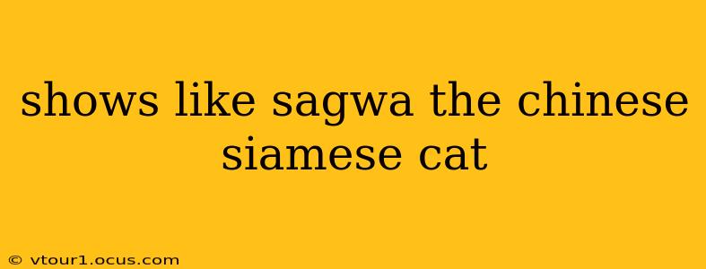 shows like sagwa the chinese siamese cat
