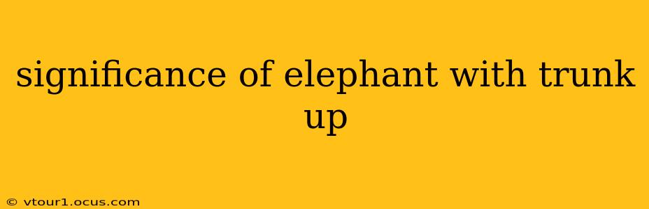 significance of elephant with trunk up