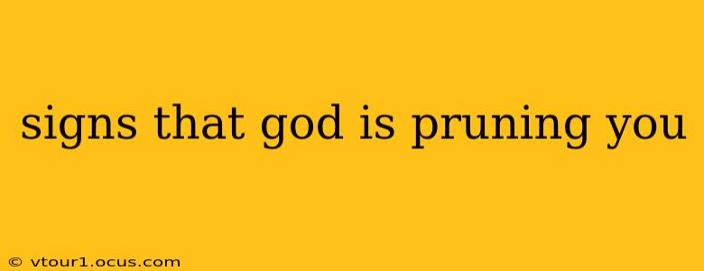 signs that god is pruning you