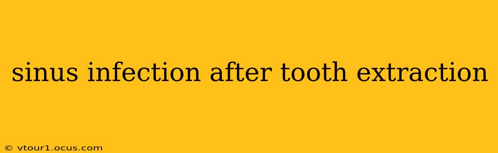 sinus infection after tooth extraction