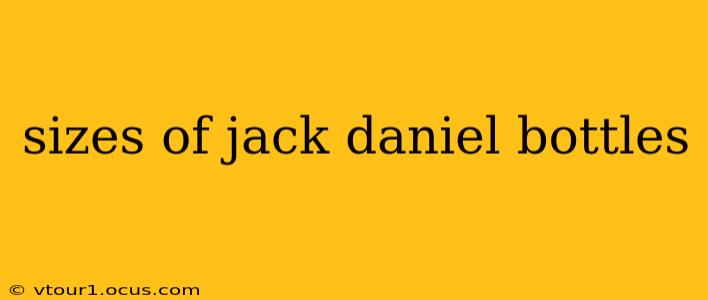 sizes of jack daniel bottles