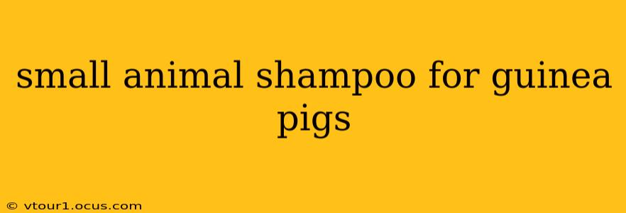 small animal shampoo for guinea pigs