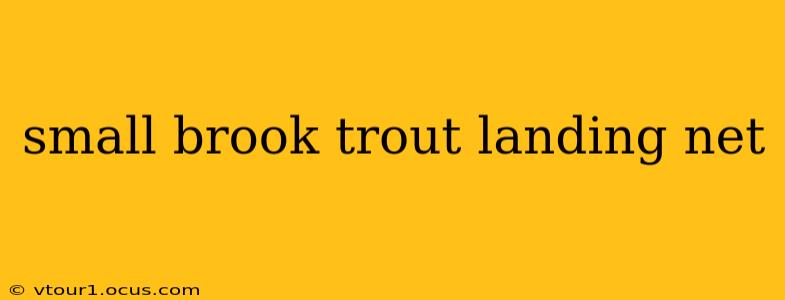 small brook trout landing net