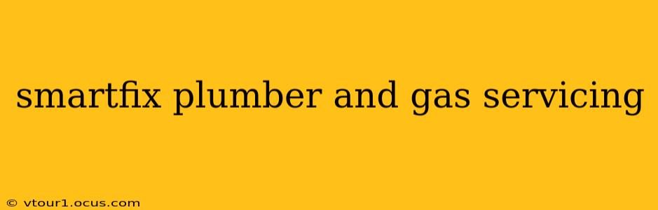 smartfix plumber and gas servicing