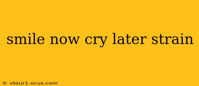 smile now cry later strain