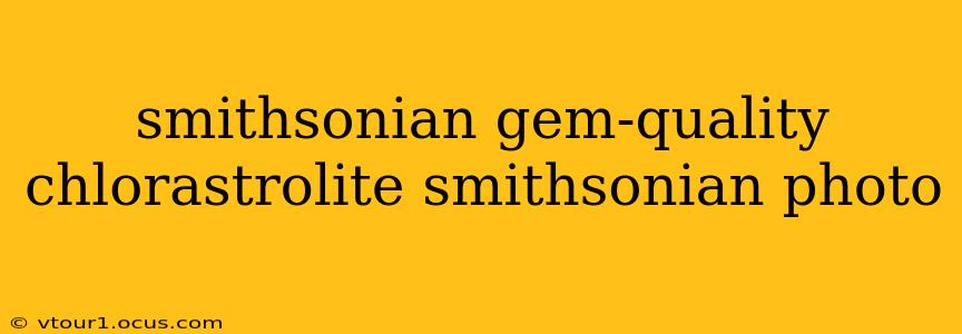 smithsonian gem-quality chlorastrolite smithsonian photo