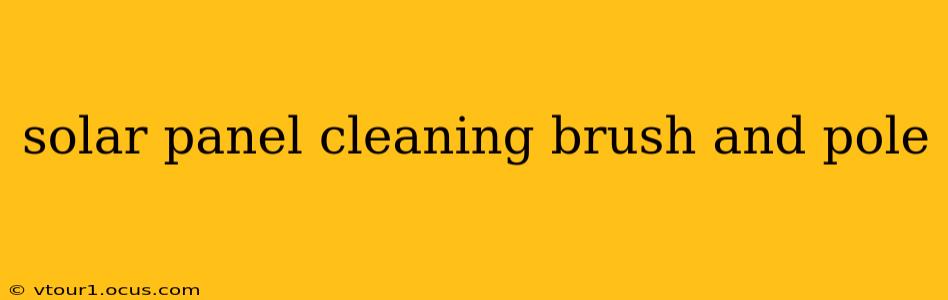 solar panel cleaning brush and pole