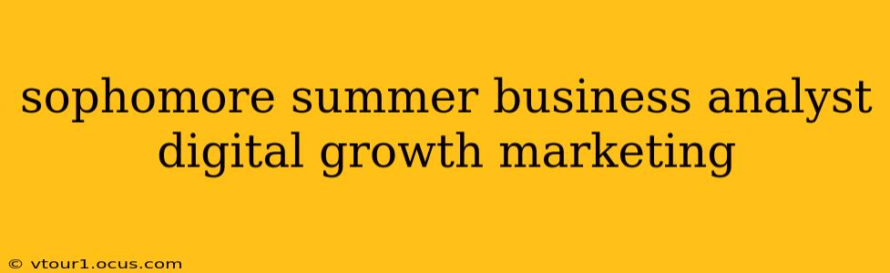 sophomore summer business analyst digital growth marketing