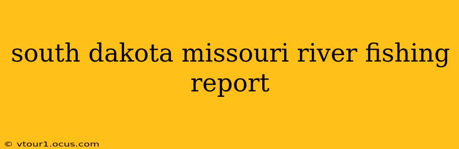 south dakota missouri river fishing report