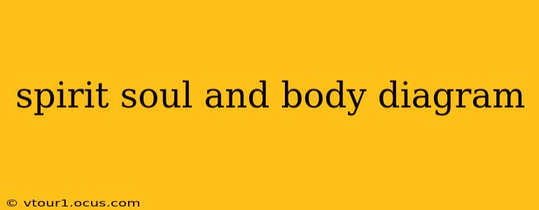spirit soul and body diagram