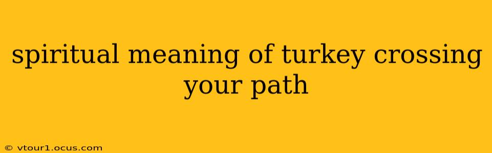 spiritual meaning of turkey crossing your path
