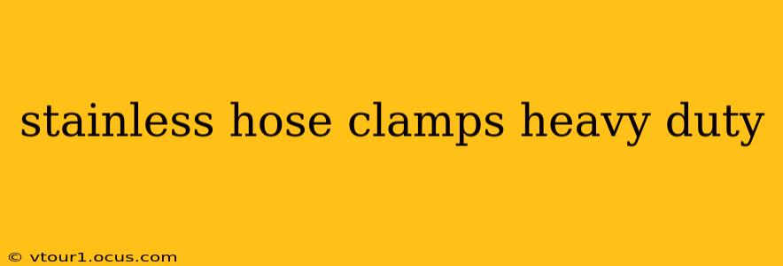 stainless hose clamps heavy duty