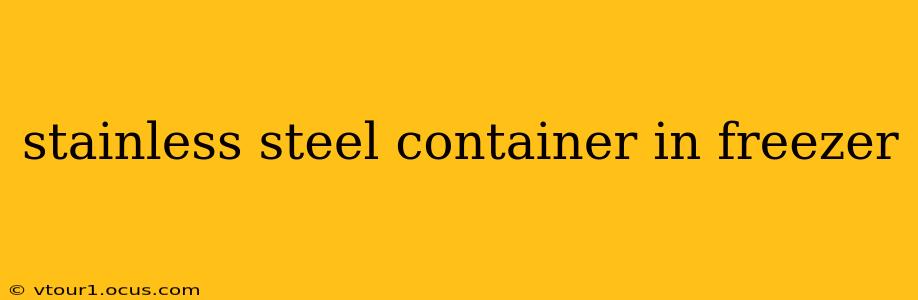 stainless steel container in freezer