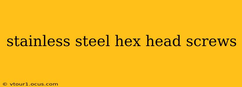 stainless steel hex head screws