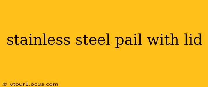stainless steel pail with lid