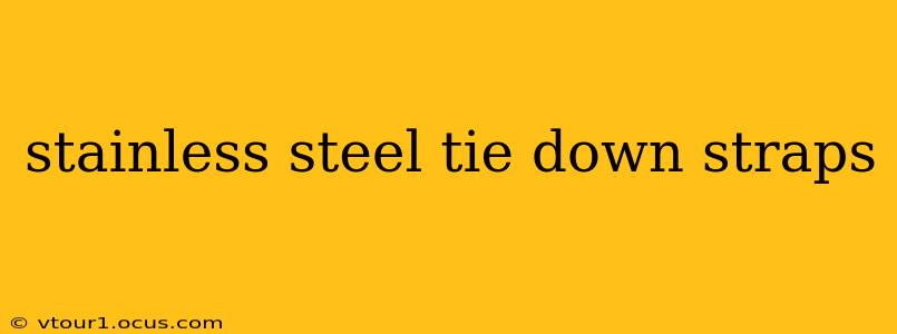 stainless steel tie down straps