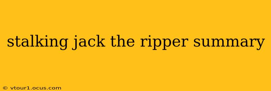 stalking jack the ripper summary