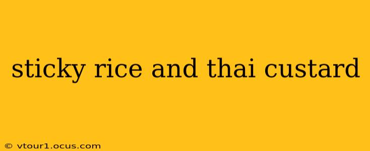sticky rice and thai custard