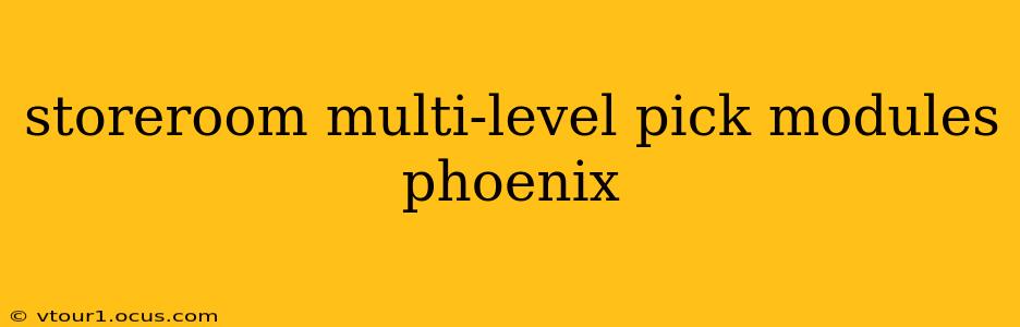 storeroom multi-level pick modules phoenix
