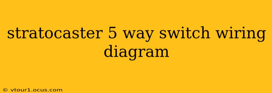 stratocaster 5 way switch wiring diagram