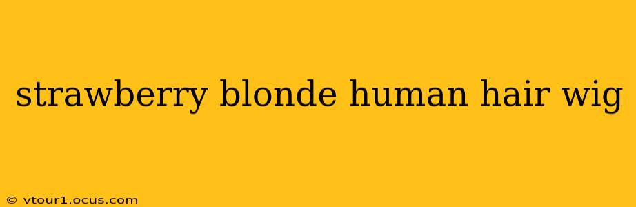 strawberry blonde human hair wig