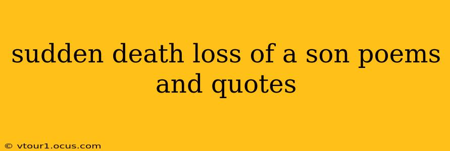 sudden death loss of a son poems and quotes