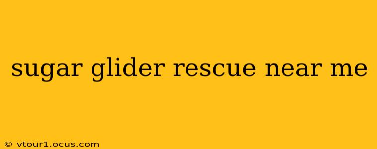 sugar glider rescue near me