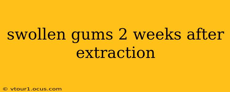 swollen gums 2 weeks after extraction