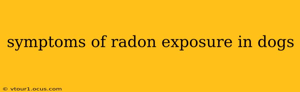 symptoms of radon exposure in dogs