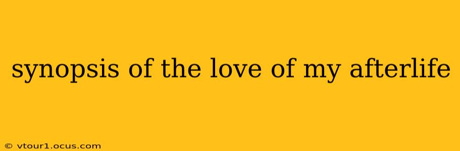 synopsis of the love of my afterlife