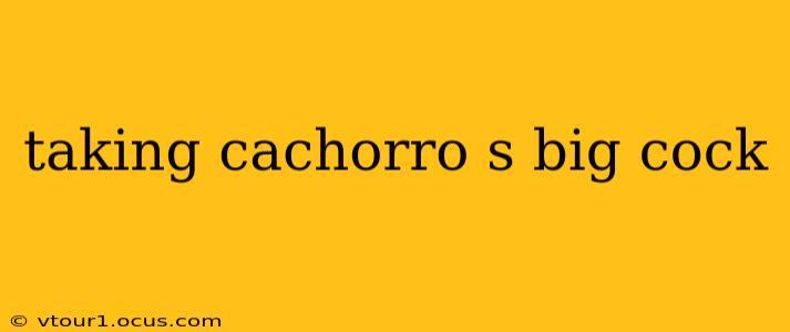 taking cachorro s big cock taking cachorro s big cock