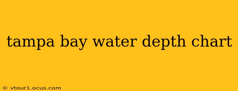 tampa bay water depth chart