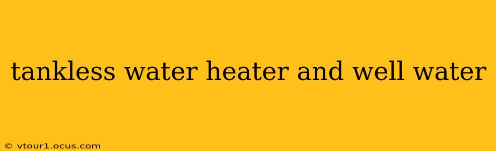 tankless water heater and well water