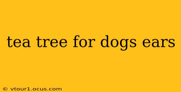 tea tree for dogs ears