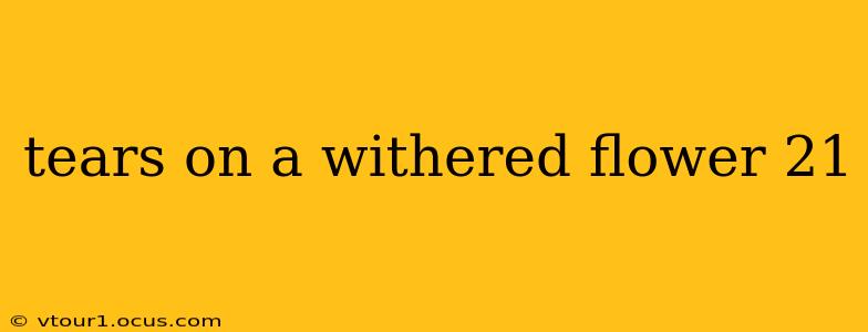 tears on a withered flower 21