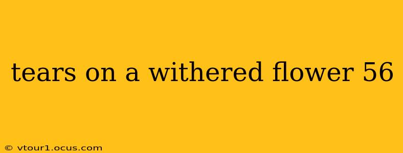 tears on a withered flower 56