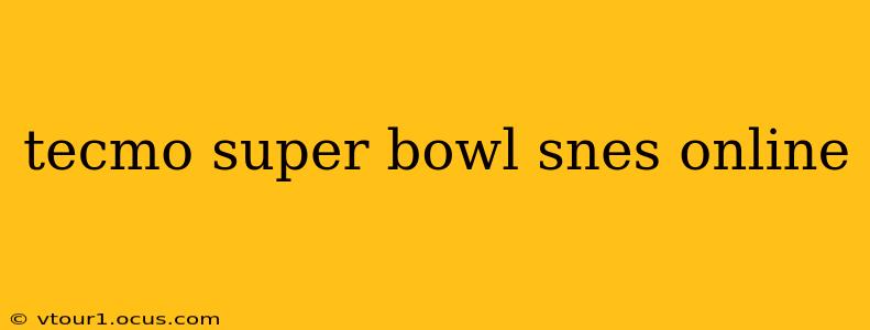 tecmo super bowl snes online
