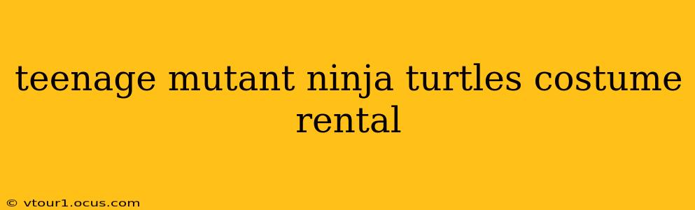 teenage mutant ninja turtles costume rental