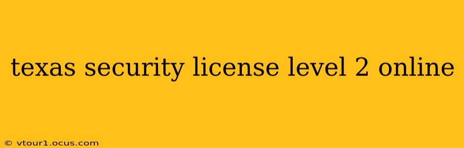 texas security license level 2 online