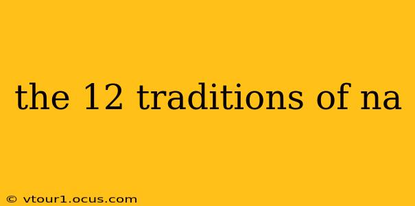 the 12 traditions of na