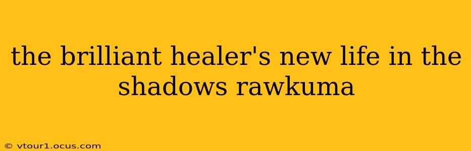the brilliant healer's new life in the shadows rawkuma