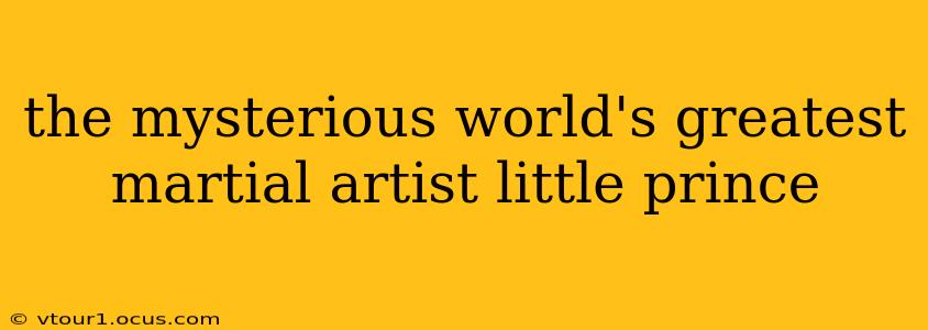 the mysterious world's greatest martial artist little prince