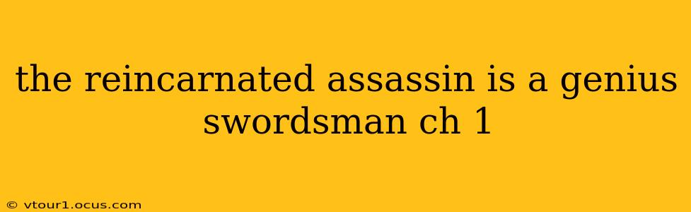 the reincarnated assassin is a genius swordsman ch 1
