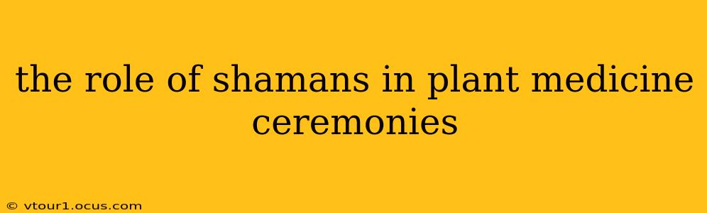 the role of shamans in plant medicine ceremonies