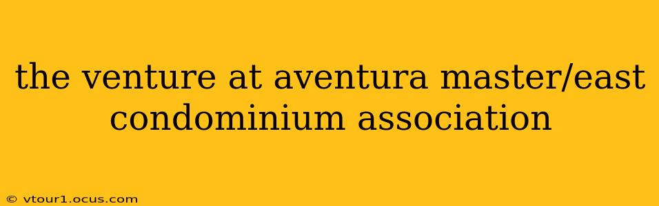 the venture at aventura master/east condominium association