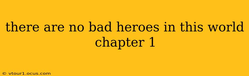 there are no bad heroes in this world chapter 1