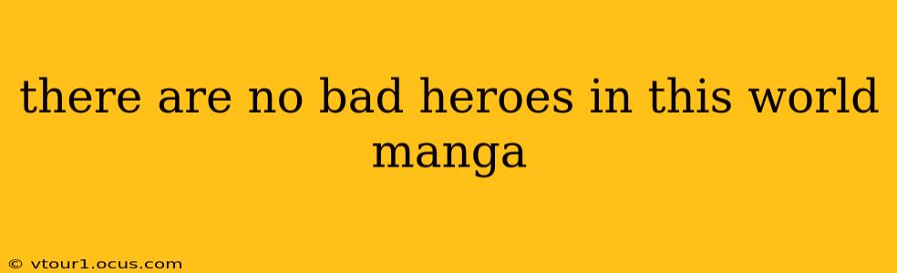 there are no bad heroes in this world manga