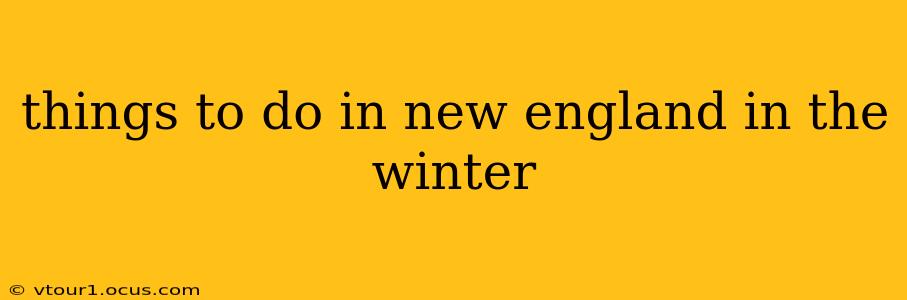 things to do in new england in the winter
